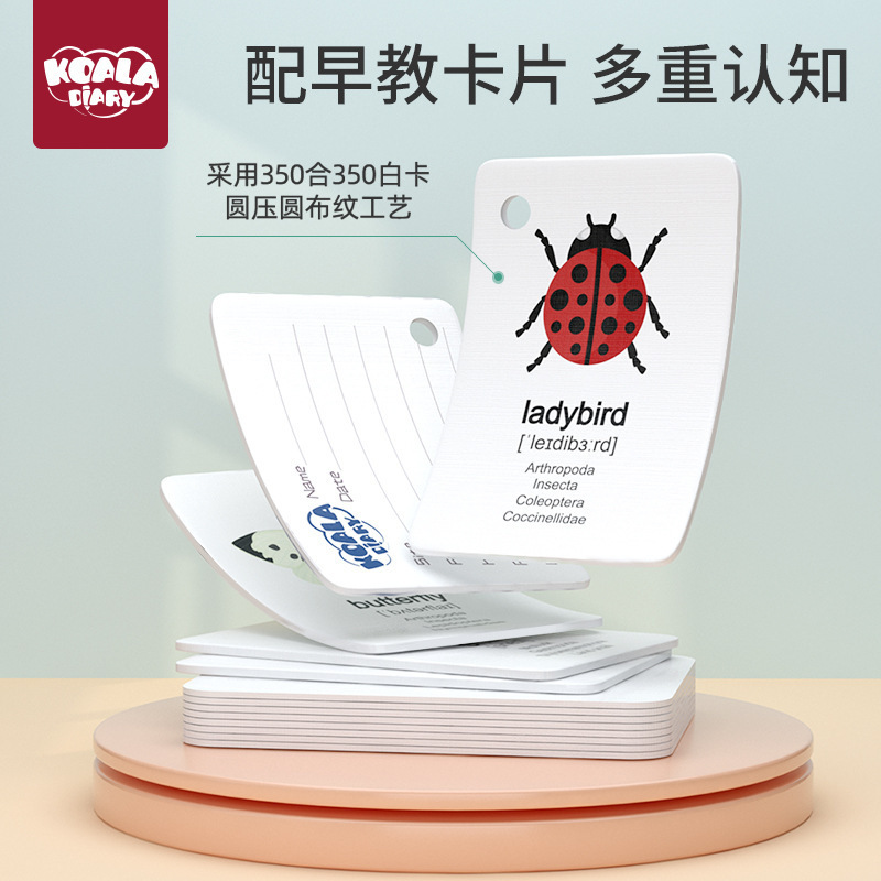 Children's outdoor adventure insect observation box parent-child interactive camping set play house toys holiday gifts wholesale - Image 3